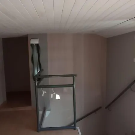 Glaieul Celles-sur-Plaine