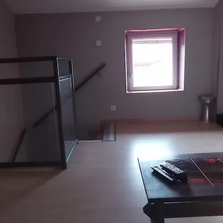 Glaieul Celles-sur-Plaine