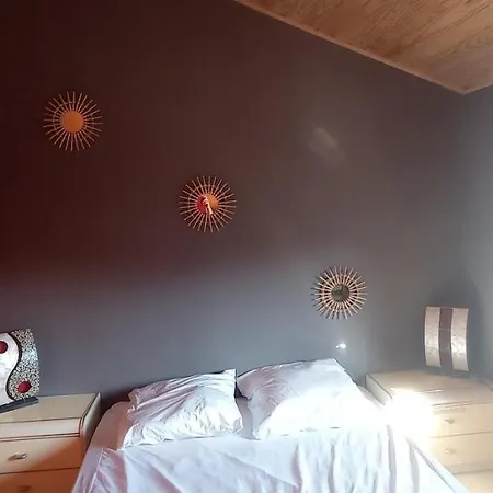 Glaieul Celles-sur-Plaine