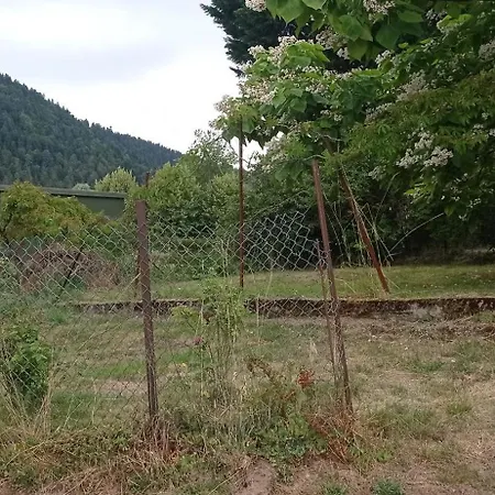 Glaieul 度假居 Celles-sur-Plaine