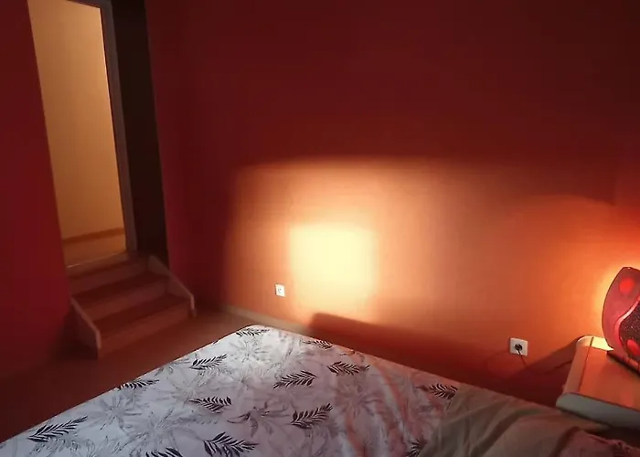 Glaieul * Celles-sur-Plaine